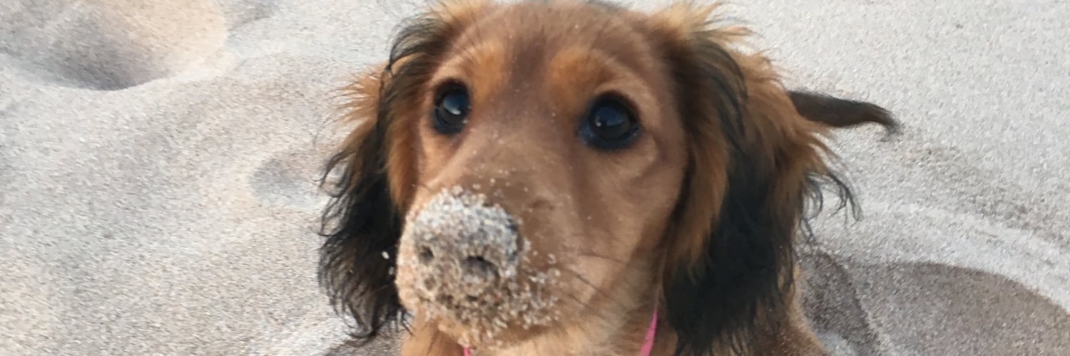 zoe_keith's profile banner image
