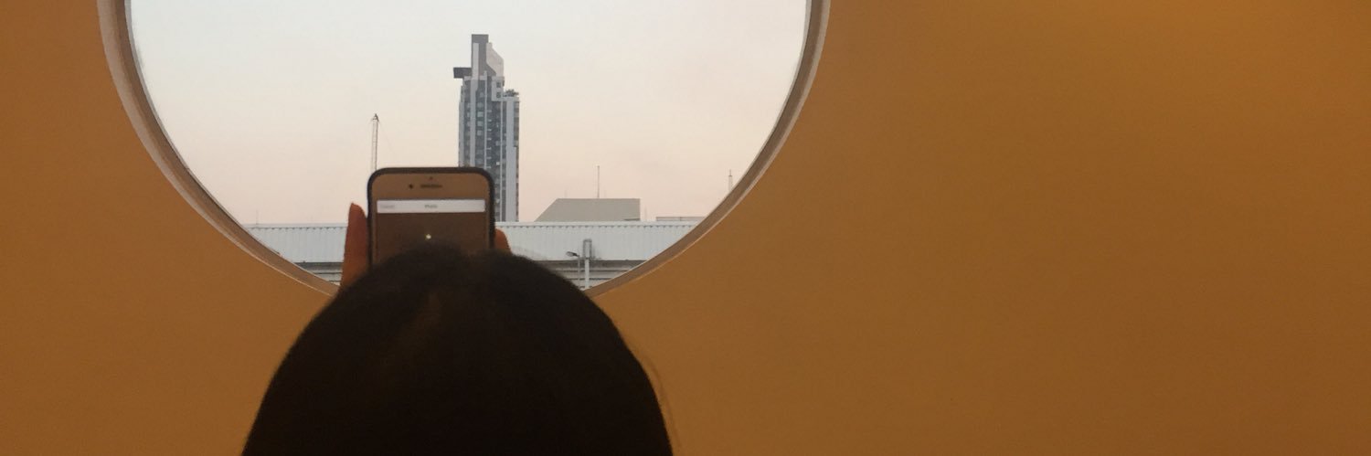 SVaskul's profile banner image