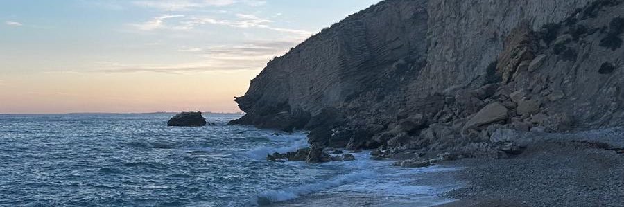 iiree228's profile banner image