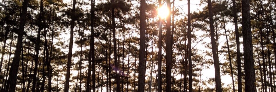 VnVantran's profile banner image