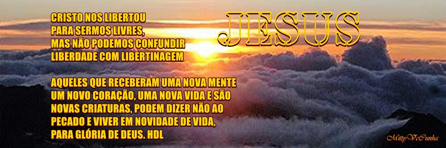 MittyVcCunha's profile banner image