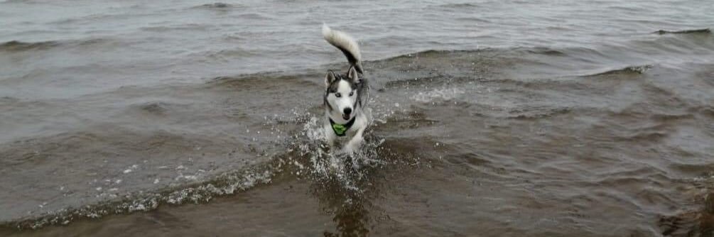 Mandy Barnett banner