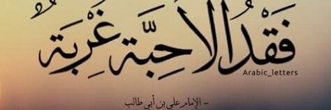 q_ali84's profile banner image