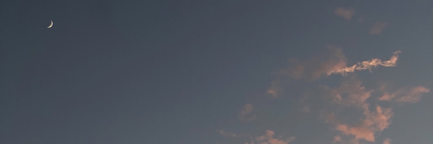 MaevaDamico's profile banner image