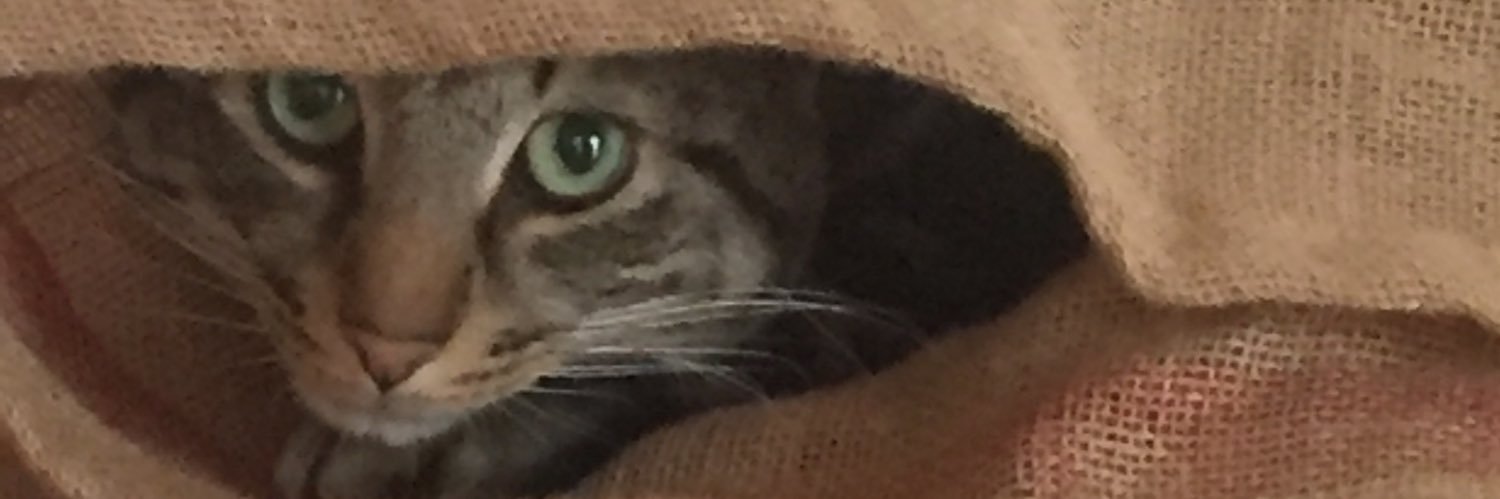 fraggandfly's profile banner image