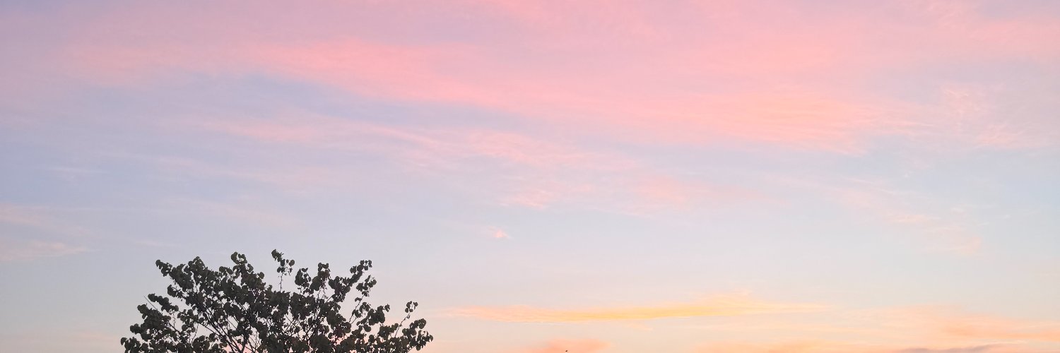 G_lovii's profile banner image