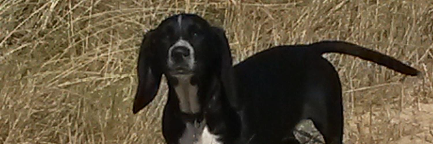 clair_day's profile banner image