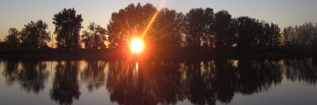 Christine Donazzolo banner