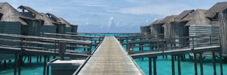 HalpernJordan's profile banner image