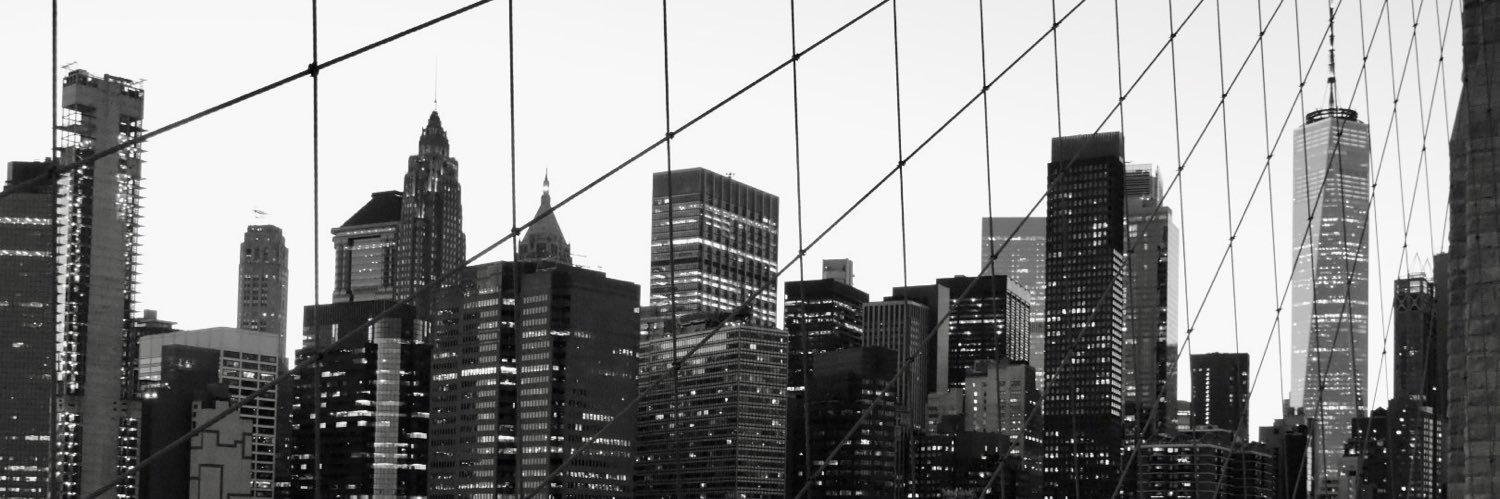 linsstevenson's profile banner image