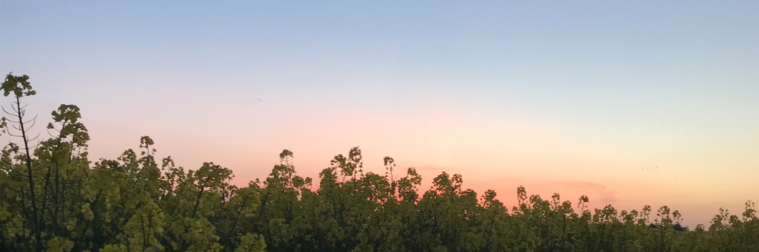 beckervic_'s profile banner image