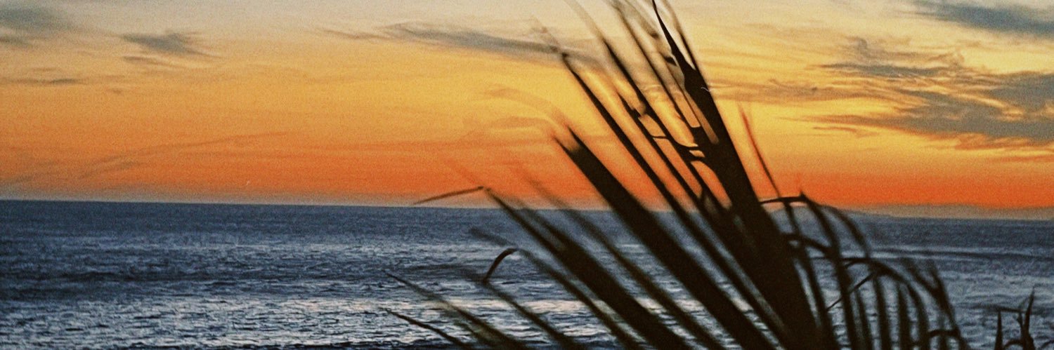 dricafg_'s profile banner image