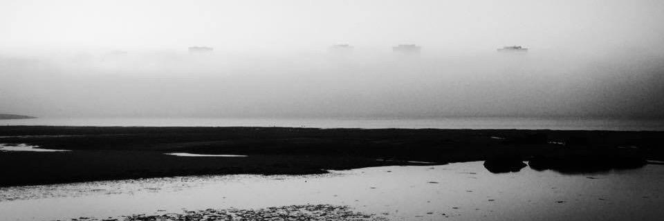 Inês Pinheiro banner