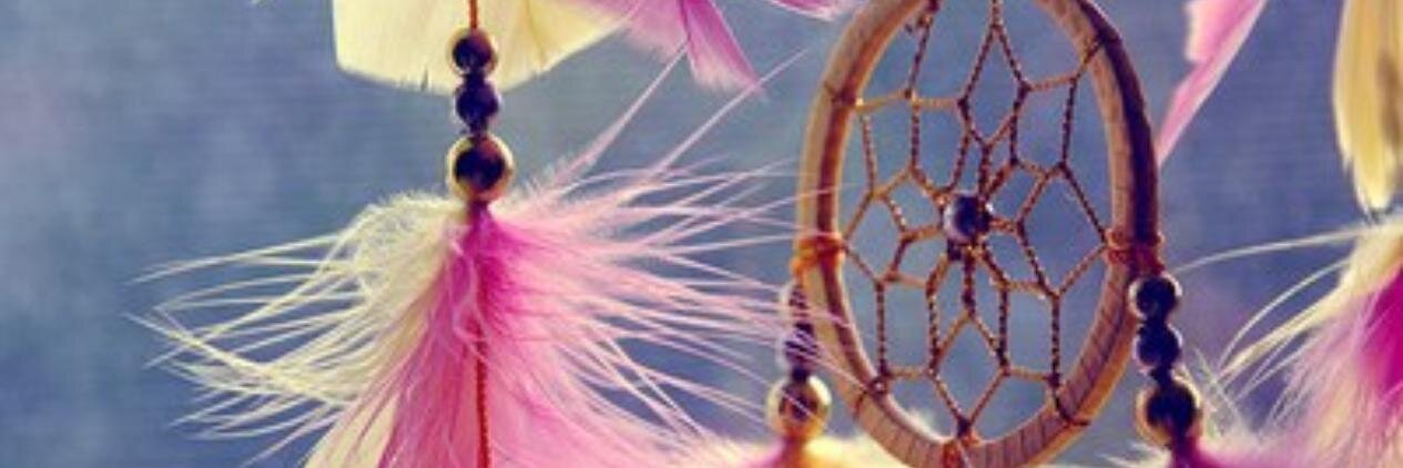 lealmeeida's profile banner image