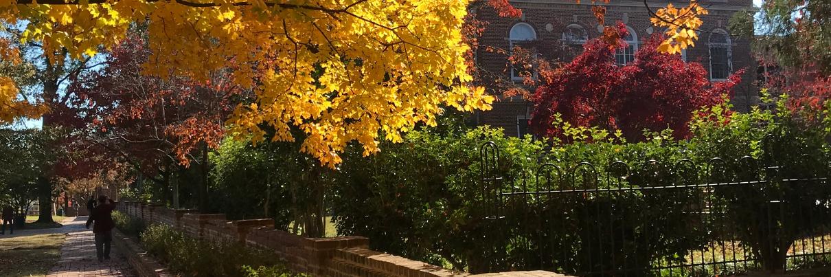 UofSCDLLC's profile banner image