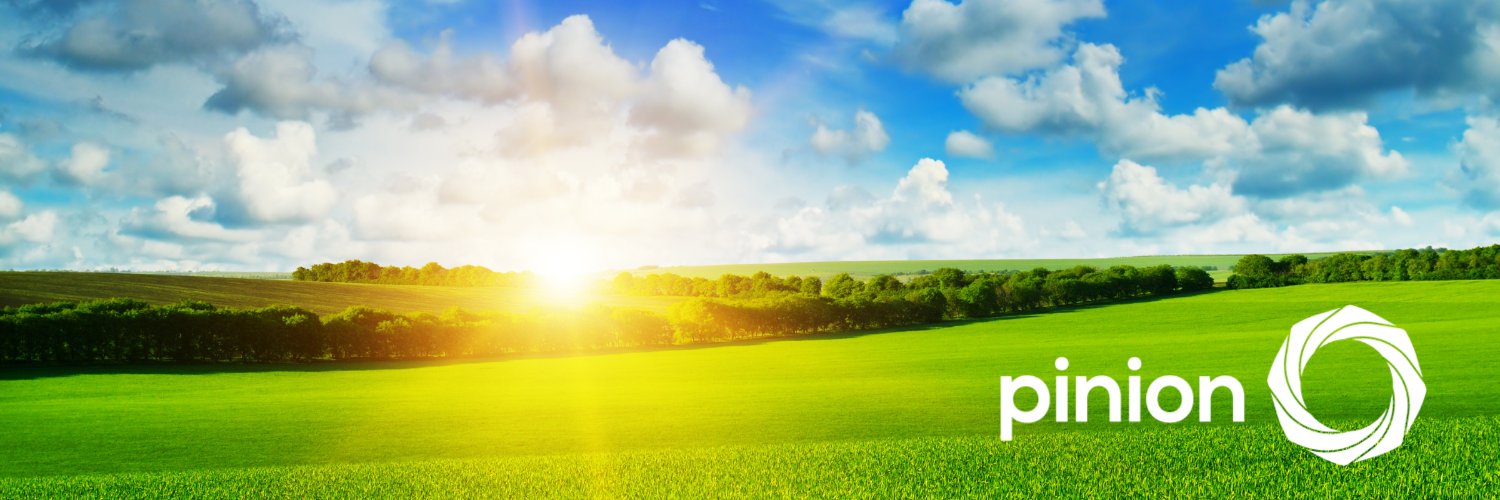 Pinion banner