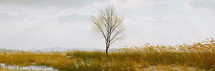 vante456's profile banner image