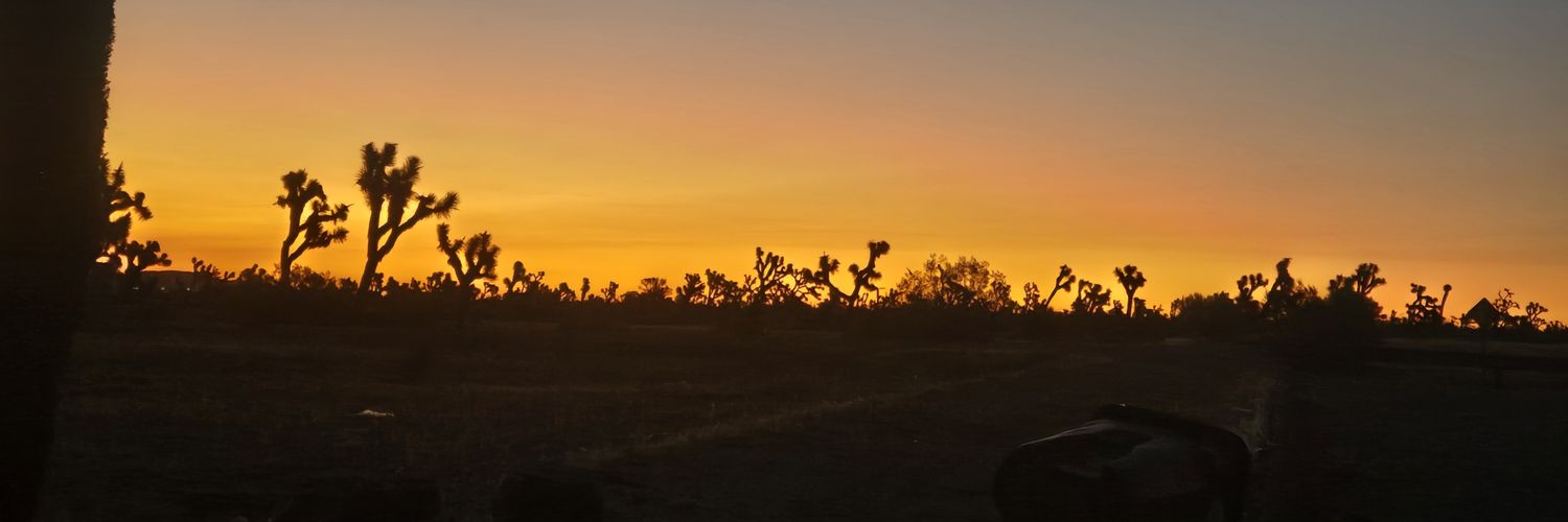 mojaveangel's profile banner image