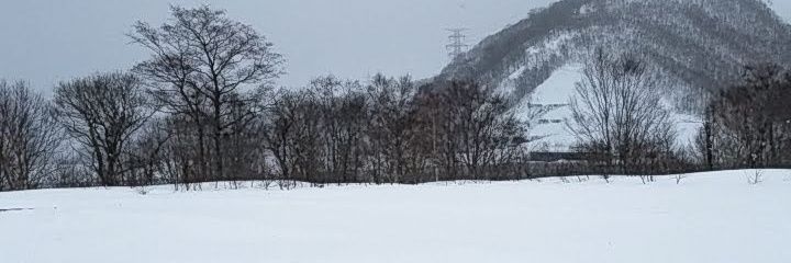noriline1983's profile banner image