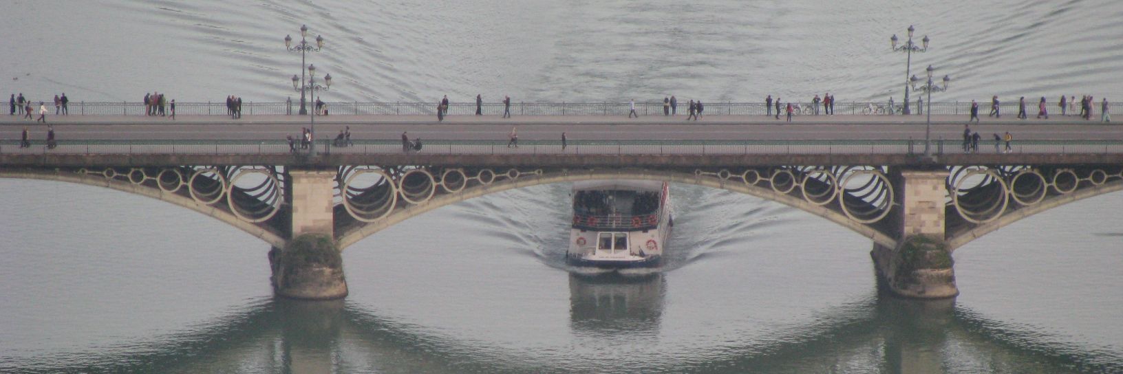 Manuel Pedroso banner