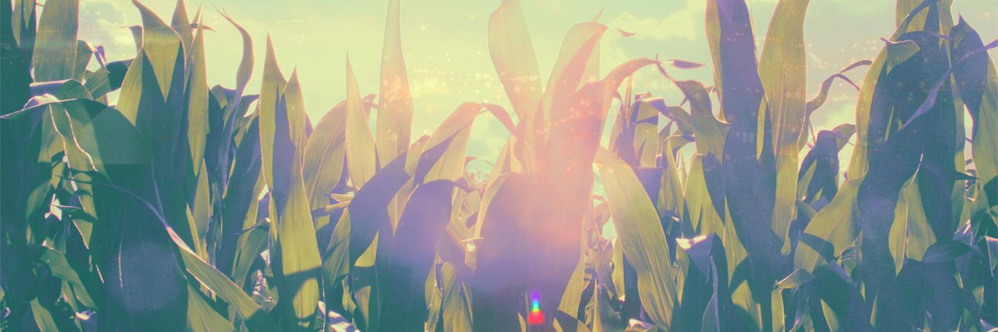 danielleoliveto's profile banner image