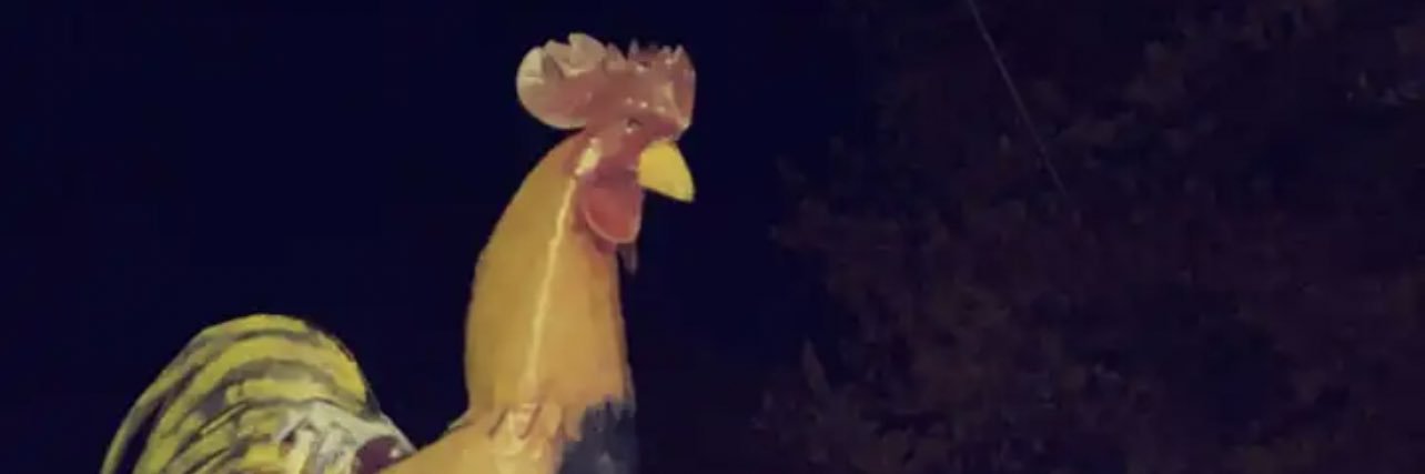 ShanderB26's profile banner image