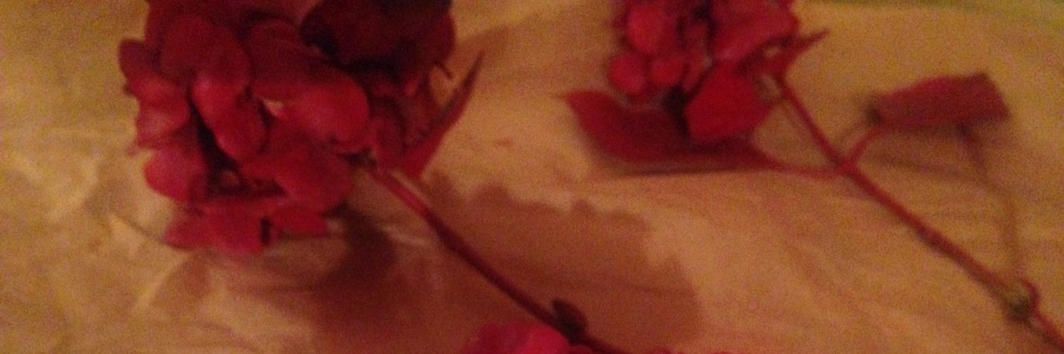 siefdels's profile banner image