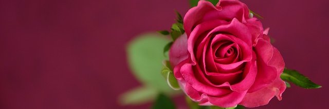 LorenaVolquez's profile banner image