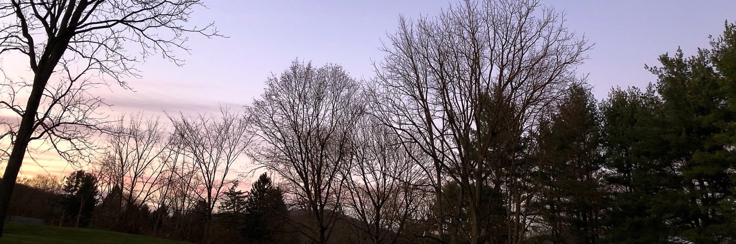 MP🇺🇸💪🏼☘️ banner