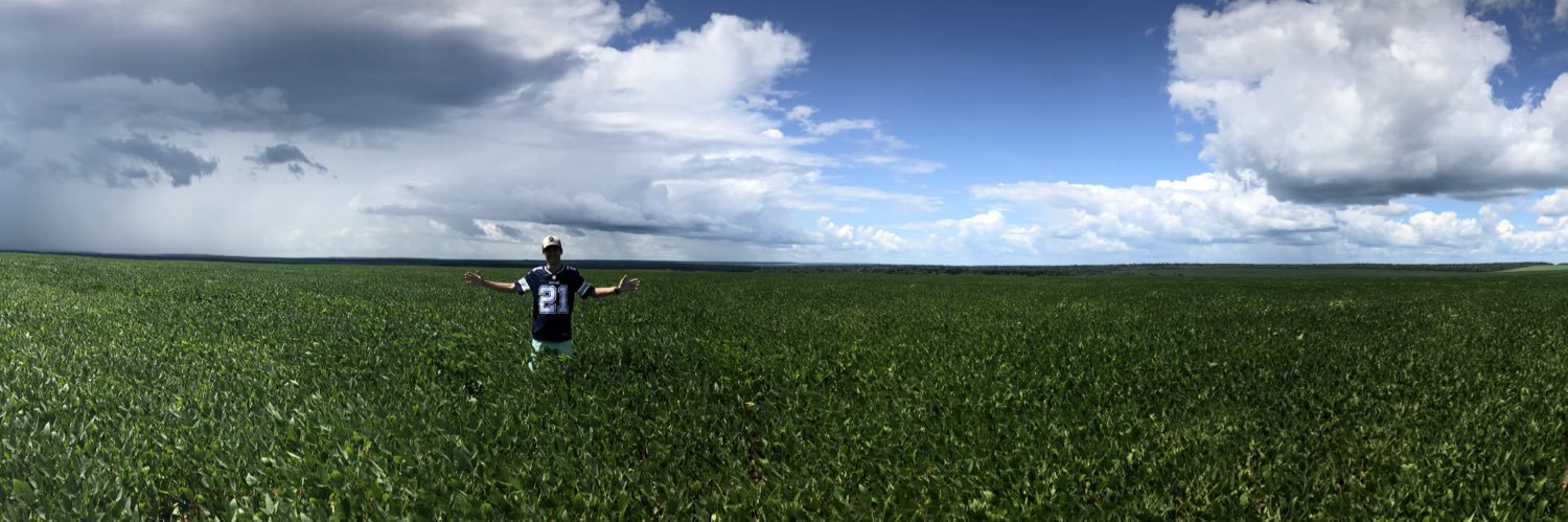 Marcelo Coelho banner