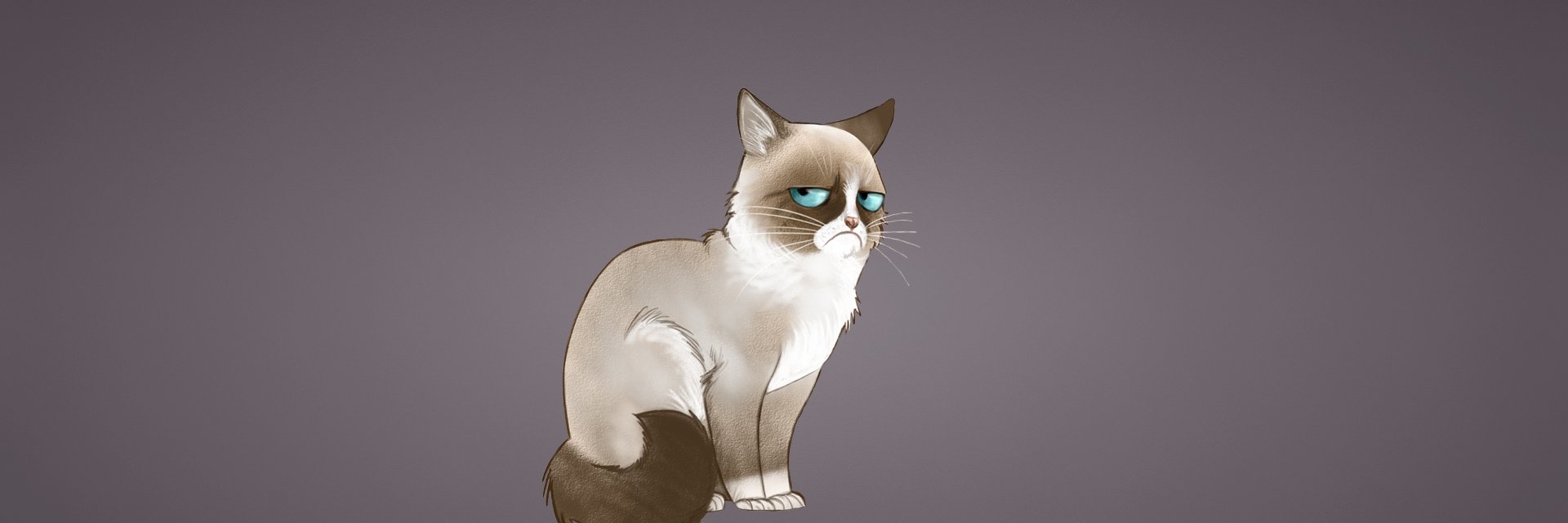 Smedrocks's profile banner image