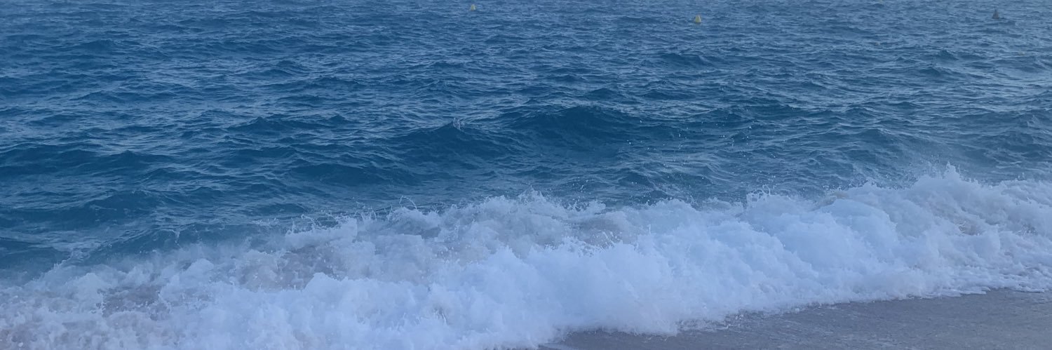 li_sanction's profile banner image