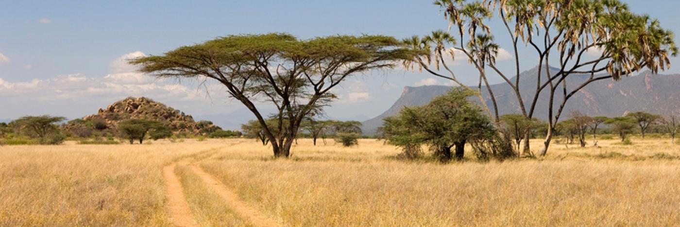 MkhuzoChongo's profile banner image