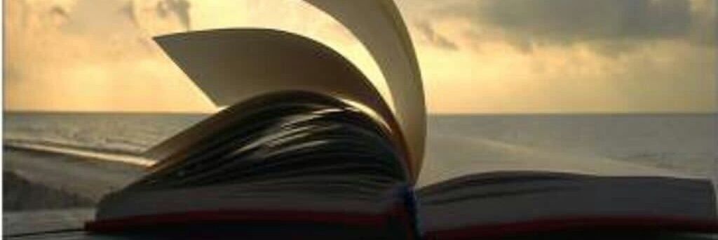 Oliveriolibros's profile banner image