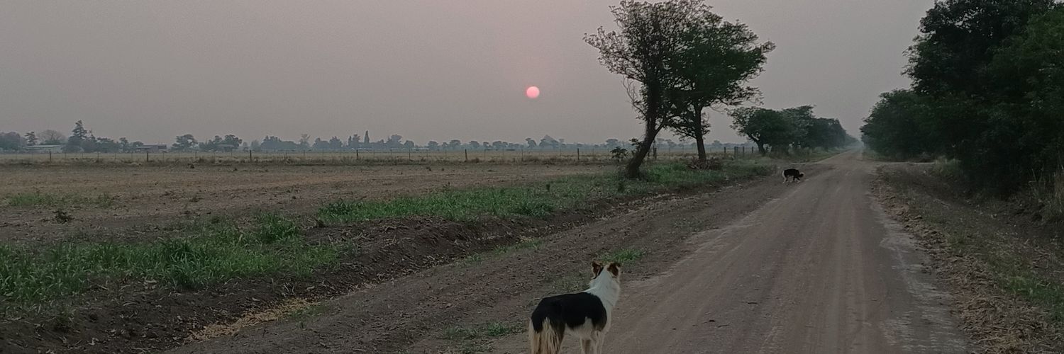 Robega94's profile banner image