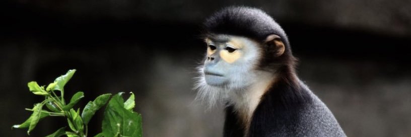 Mordecvi's profile banner image