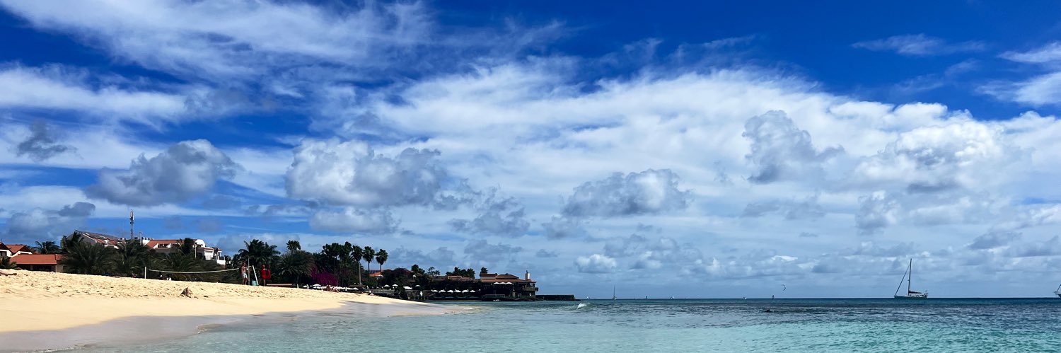 Lisa Ballantine banner