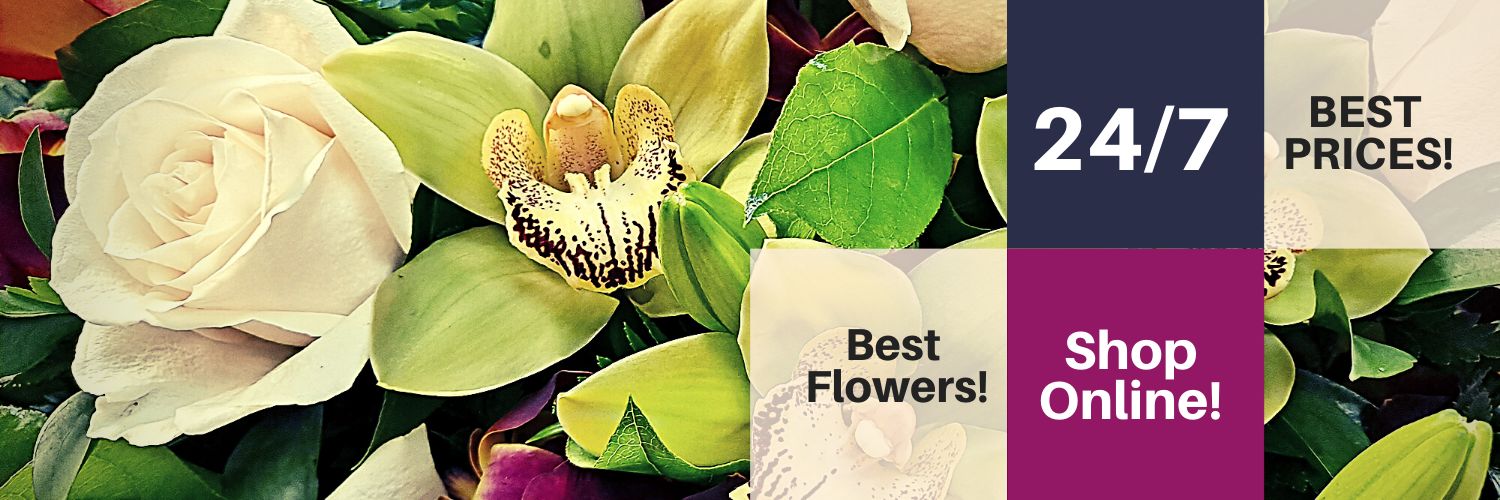 FancyFlowers305's profile banner image