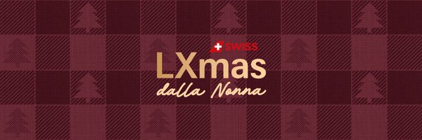 FlySWISS Profile Banner