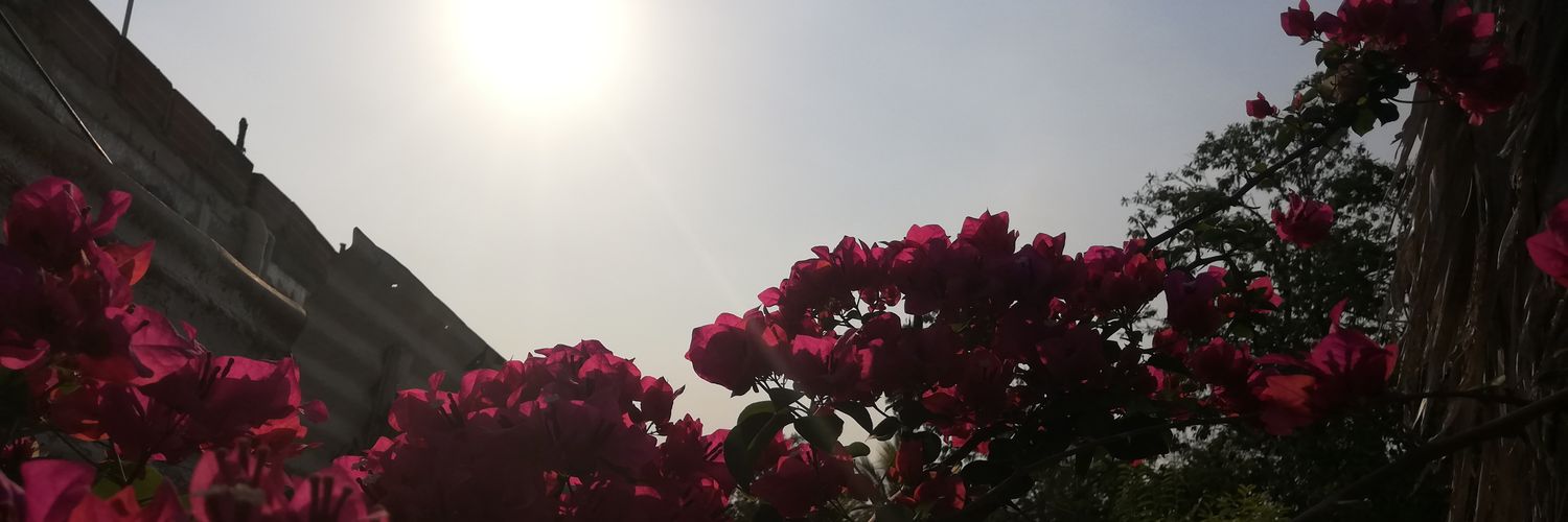 Marcbertell's profile banner image