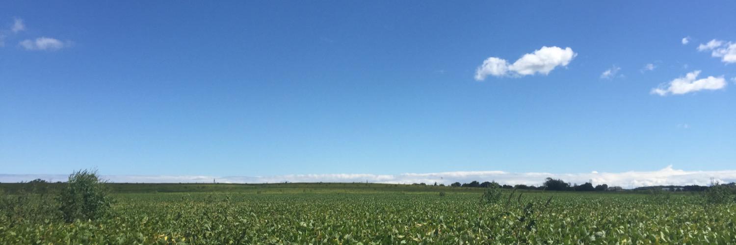 libbywaz's profile banner image