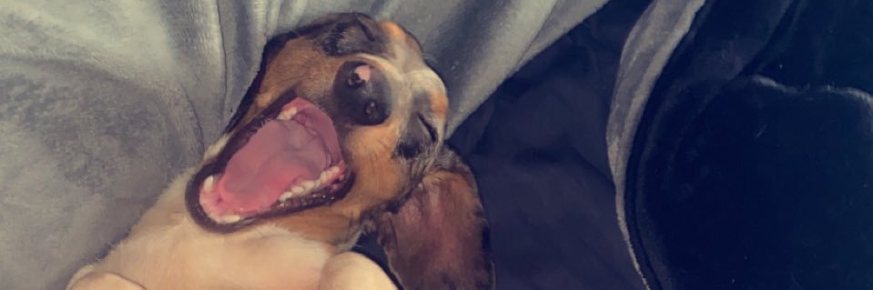 hannahplayer14's profile banner image