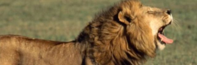 CRWellman's profile banner image