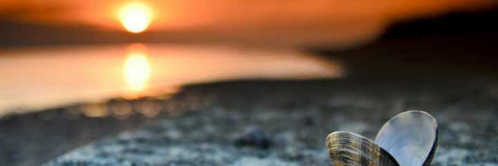 AnfasMs's profile banner image