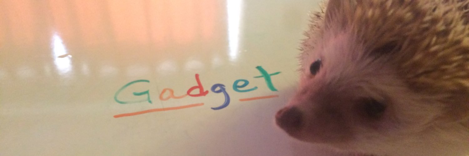GadgetHedgehog's profile banner image
