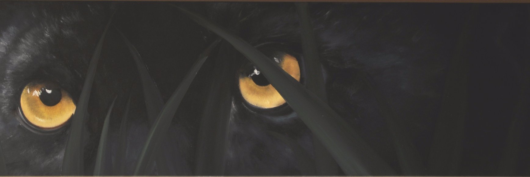 Telmo Pompilio banner