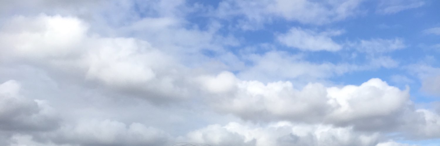 __sillywilly's profile banner image