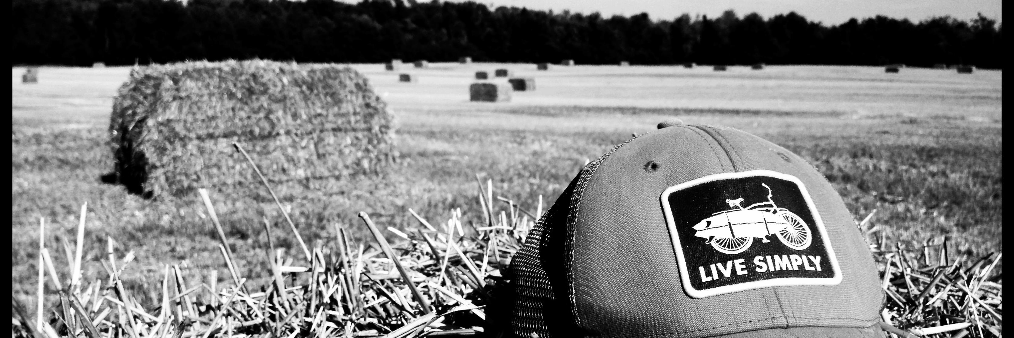 ToddALamont's profile banner image