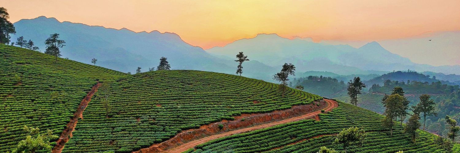 VikramHankare's profile banner image