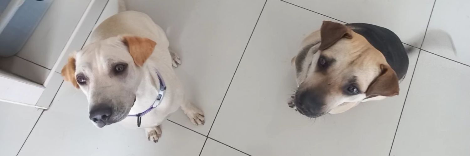 Deanira_AT's profile banner image